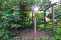 blocks_image