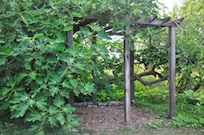blocks_image