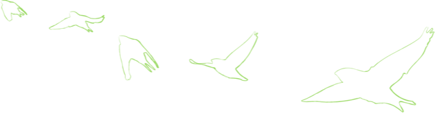 blocks_image