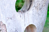 blocks_image
